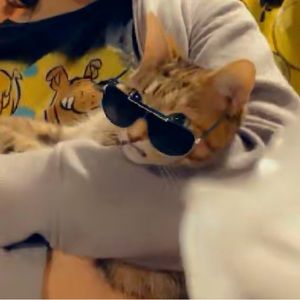 Meet your Posher, Abby